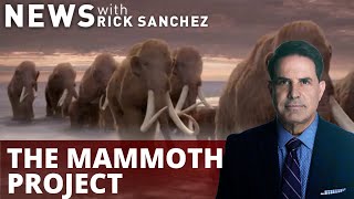 Harvard scientist says we can resurrect wooly mammoths