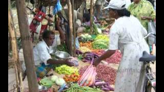 யாழ் டிங்கிறி நகைச்சுவை 3
