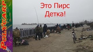 ЧЕРКАССЫ\ЛОВЛЯ ТАРАНИ \ЧТО ТВОРИТЬСЯ НА ПИРСЕ ОСЕНЬЮ?