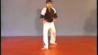 Low Spinning Sweep Kick