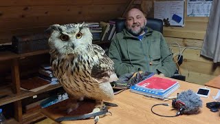 @Сергей Ярцев приглашает на встречу! Сова филин Варя троллит изо всех сил