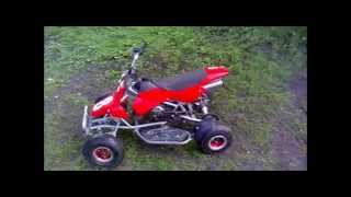 49cc Mini quad Blata