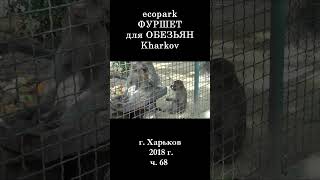  ЭкоПарк Харьков ч.68 / ФУРШЕТ для ОБЕЗЬЯН / 2018 г. #shorts