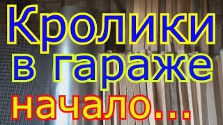 Кролиководство в гараже Начало