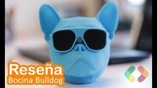 Reseña Bocina  Cabeza Bulldog