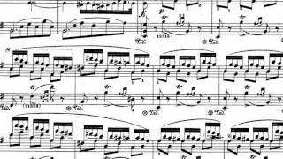 F. Chopin : Piano concerto no. 1 op. 11 in E minor -1st mov. 2/2 (Luisada)