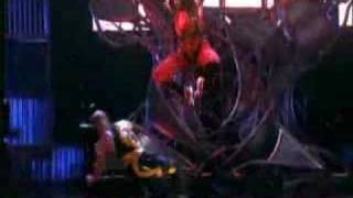 Madonna Sky Fit Heaven (DWT)