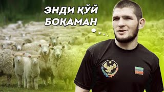ХАБИБ ҚЎЙ БИЗНЕСИГА ЎТДИ / КОНОР ЯНГИ ЖАНГИ АНИҚ / ТАЙСОН КИМНИ ЎЛДИРМОҚЧИ БЎЛГАН