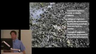 Ecologically Valuable and Delicious: The Paradox of the Eastern Oyster