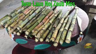 Twm Laus Noj Zaub Mos Thiaj Mob Plab