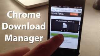 Chrome Download Manager - Download Files From Chrome Browser on iPhone