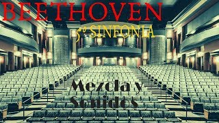 A 5ta Sinfonia de Beethoven (como você nunca viu)