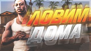 ЛОВЛЯ НА ARIZONA RP | БУДНИ БАРЫГИ