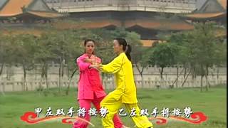 taiji 2 duan small xvid