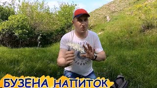 #НАПИТОК #БУЗИНА #CIUDOVA   НАПИТОК ИЗ БУЗИНЫ