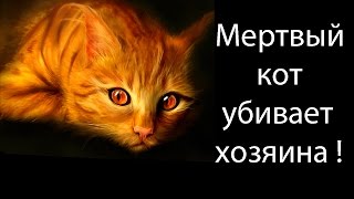 Мертвый кот убивает хозяина !