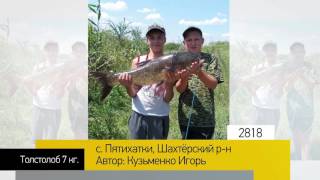 Фотоальбом - Рыбалка №563