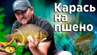 Карась на ФИДЕР! Ловля карася и подлещика на ПШЕНО! Рыбалка с ночевкой!