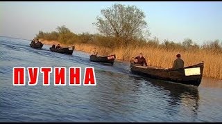 Путина
