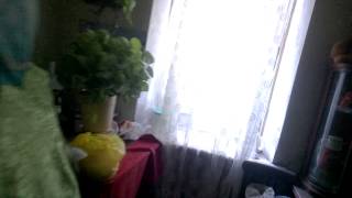 Срочно Смотреть! Укропы бомбят по ул кирова!Украина! Новороссия! ЛНР! 27.07.2014