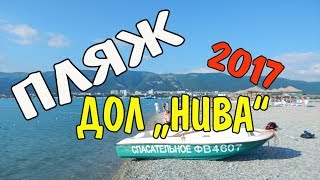 VLOG 308 Геленджик LIFE Пляж ДОЛ "Нива" июнь 2017