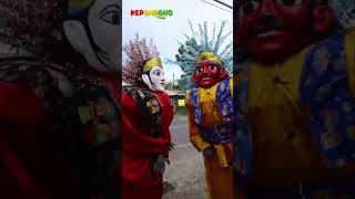LIAT KEBUN! - @Kepompongbalon #shortvideo #shortsfeed #shorts #shortsvideo #short #fyp #fypシ #for