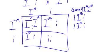 blood punnett squares