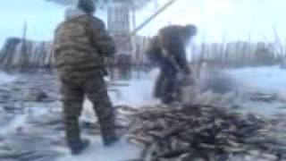 Ванкор-Рыбалка