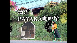 【泰国清迈】泰国清迈古城边上的咖啡馆Payaka cake house，躲在巷子里的欧式怀旧风 EP.5