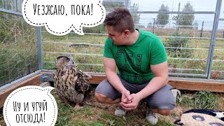 Кошка Морошка гонит собаку и насмехается над ней! Егор ломает крышу и, как обычно, бесит сову Ёлку