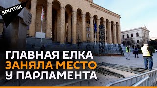 В Тбилиси уже готовятся к Новому году: как ставят главную елку Грузии