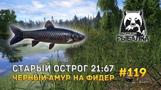 Русская Рыбалка 4 #119 - Старый Острог 21:67. Черный амур на фидер