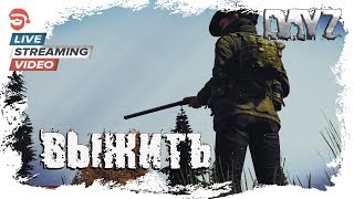 Выжить [DayZ]