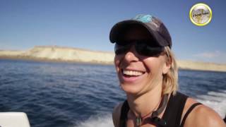 SNORQUELING CON LOBOS MARINOS · SCUBA DUBA BUCEO · PUERTO MADRYN