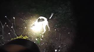 2850