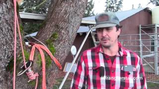 Wranglerstar Reads Mean Comment