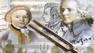 Essential Mozart  Flute and Harp Concerto in C