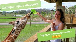 Гуляем в Зоопарке Wild Florida Сафари Часть 2 Супруга в Восторге Дикие Верблюды Жираф Олени и .....