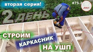 Строим каркасник на УШП | Стройка каркасника на утеплённой шведской плите в Белоострове