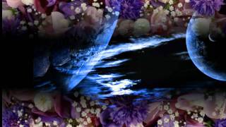 Savage - Fugitive (HD Widescreen)