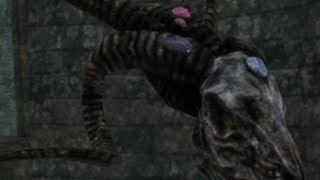Dark Souls 2 - Warlock Mask And Cursed Bone Shield (LOCATION)