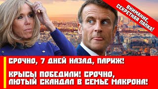 Срочно, 7 дней назад, Париж! Крысы победили! Срочно, лютый скандал в семье Макрона!