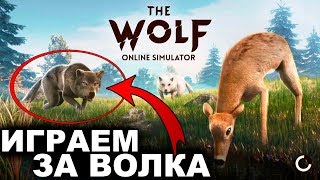 СИМУЛЯТОР ВОЛКА - The Wolf