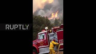 USA: Firefighters continue to battle California's Dixie fire as blaze expands over 84,000 hectares