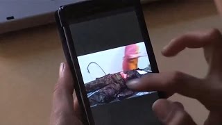 Зверства карателей в Украине превзошли фашистов Гитлера (18+)