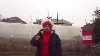 ЧТО ПОСЕЯТЬ ПОД ЗИМУ? 