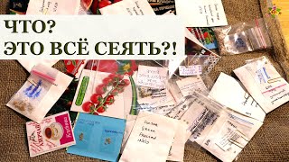 ТОМАТЫ 2020 / Мой выбор