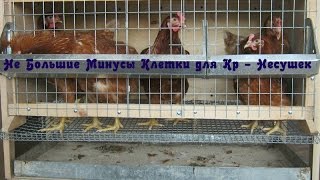 Каширское Подворье / Не Большие Минусы Клетки для Кур /