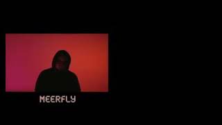 LAGU BARU MEERFLY 2019