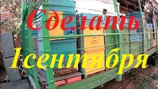 Сделать до 1-5 сентября.Готовимся к зимовке - у пчёл май в ульях.